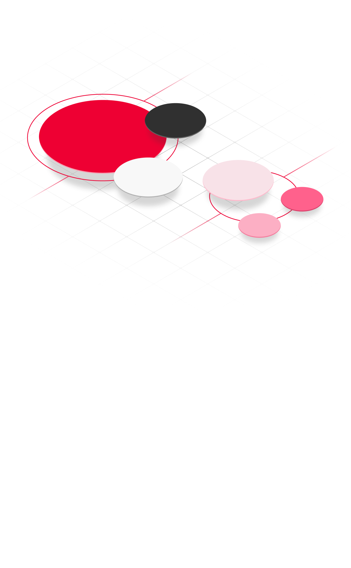 SMEHub primary brand colors circles list